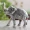 Indian Art Villa Aluminium Elephants With Dark Embosed Silver Finish Design, Home Decor, Room Decor, Handicarft Item & Decor, Color- Silver - Small