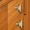 32mm-brass-knobs-bk001-brass-antique-knobs-brass-cabnite-knobs-brass-drawer-knobs--shivarika-manufacturers-exporters
