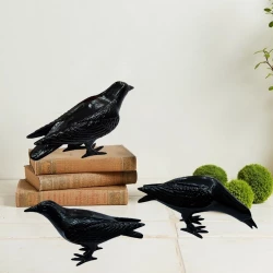Cast Iron Crow with Head Down, Black | Cast Iron Black Crow | Black Powder Coating
